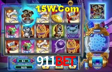 Sistemas de Segurança 911Bet